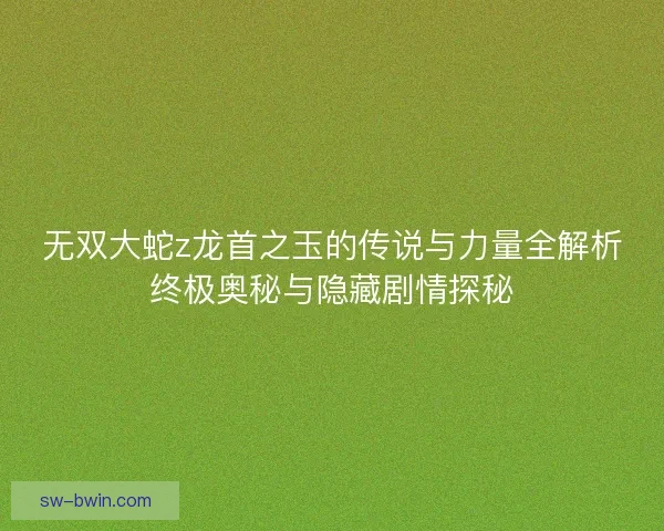 无双大蛇z龙首之玉的传说与力量全解析终极奥秘与隐藏剧情探秘